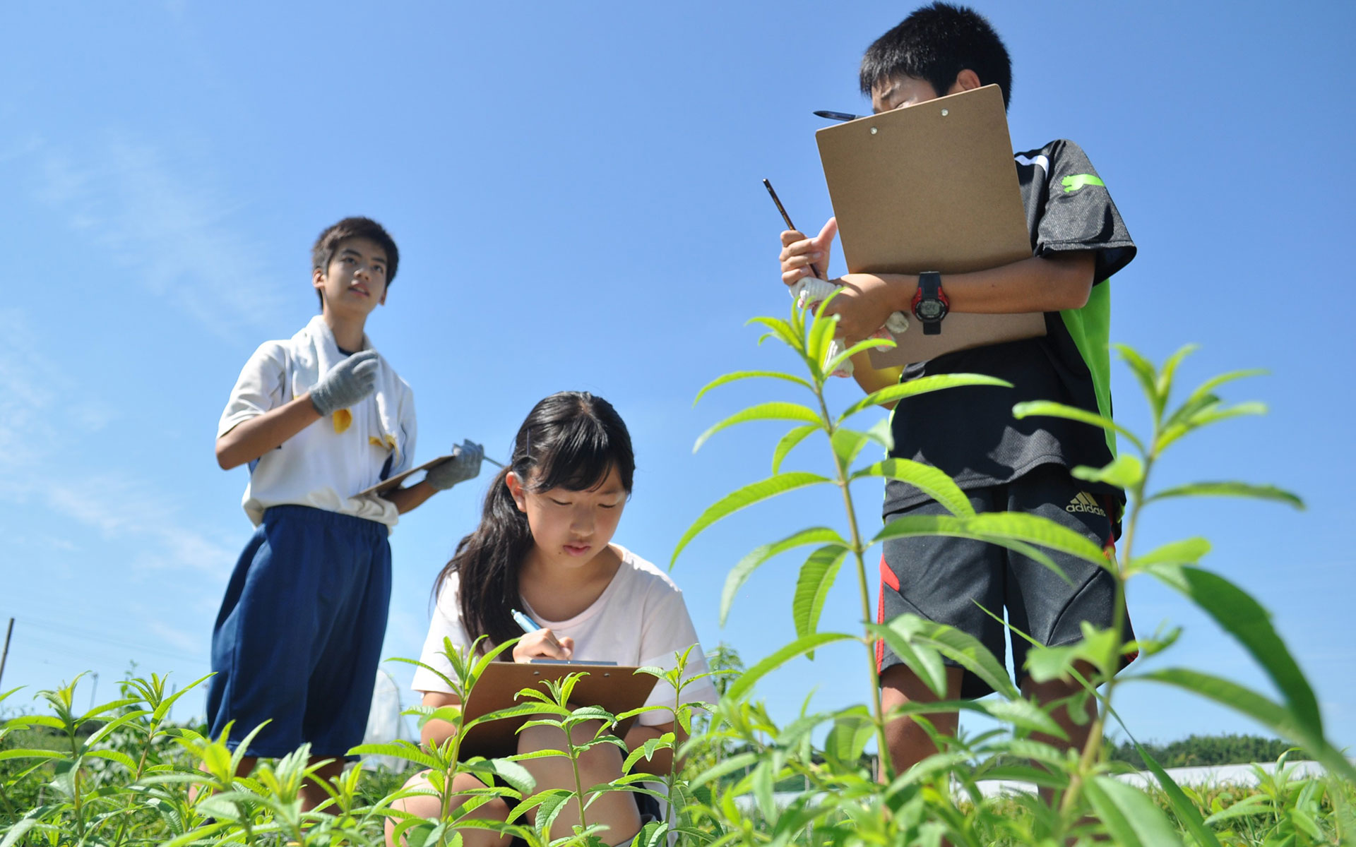 学びを耕す、世界と出会う。やり抜く体験がひろがる「村」。