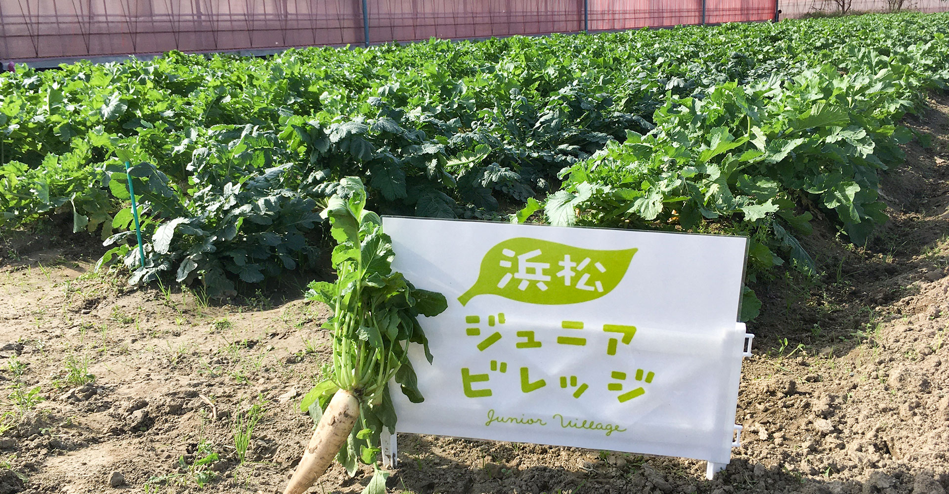 浜松ジュニアビレッジジ