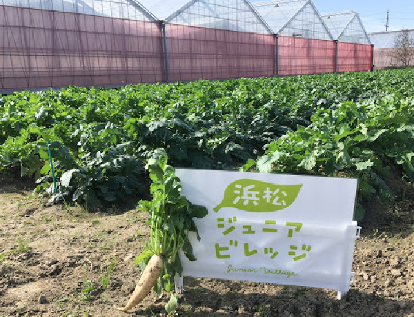 圃場